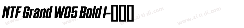 NTF Grand W05 Bold I字体转换